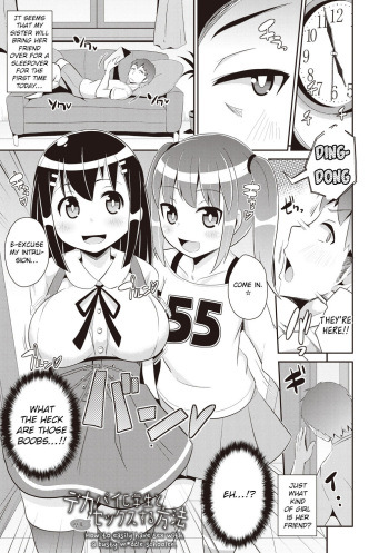 Shochupai  p22-41 cover