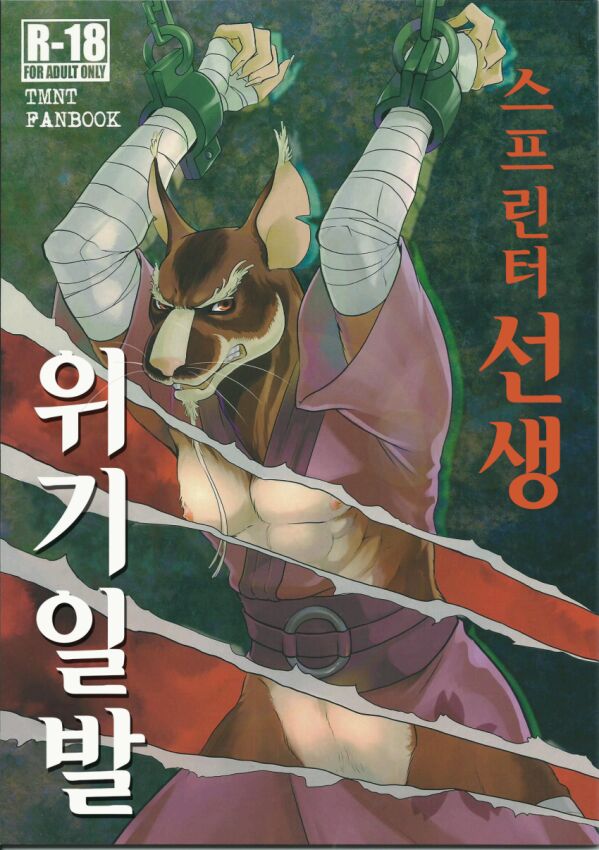Splinter Sensei Kiki Ippatsu | 스플린터 선생 위기일발 page 1 full