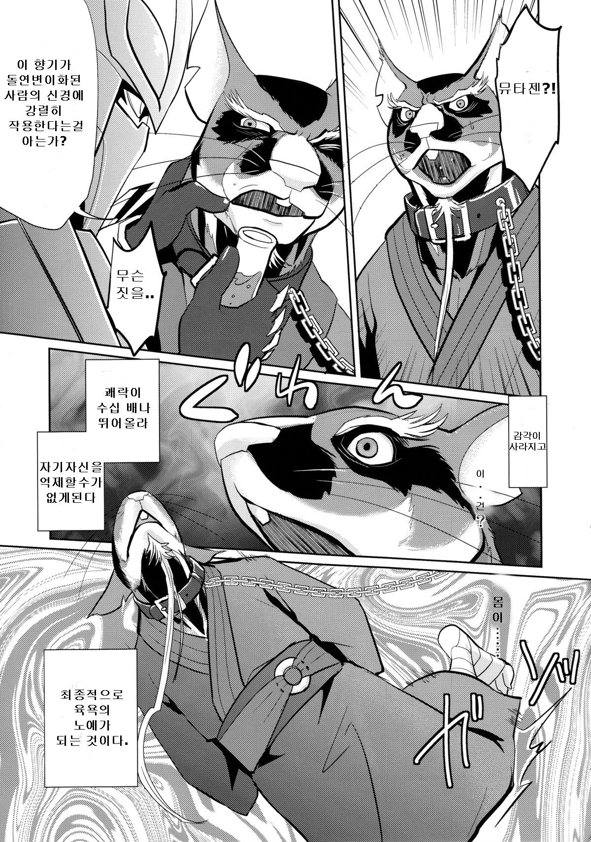 Splinter Sensei Kiki Ippatsu | 스플린터 선생 위기일발 page 4 full