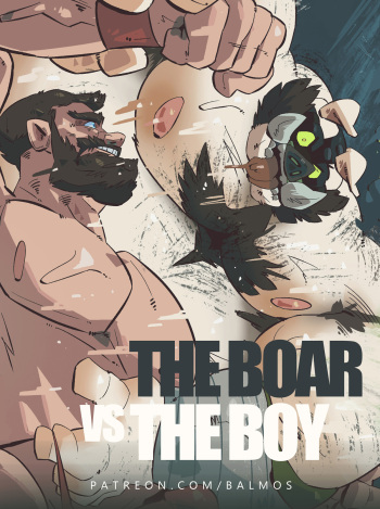 The Boar VS The Boy cover