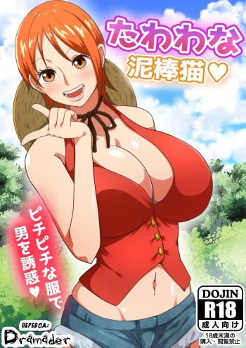 Tawawa na Dorobouneko | A Busty Thief cover