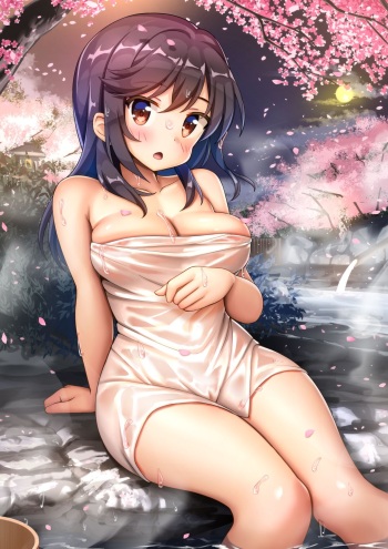 Onsen Hotarun cover