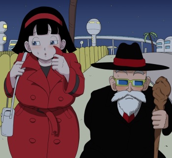 Meeting with Master Roshi cover