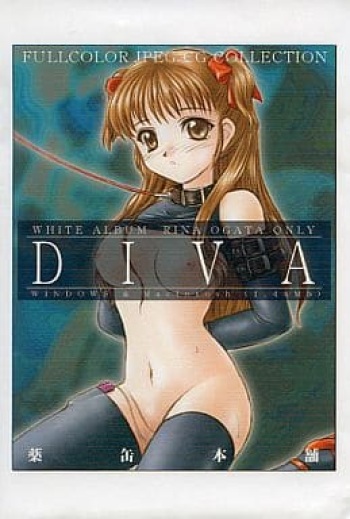DIVA cover