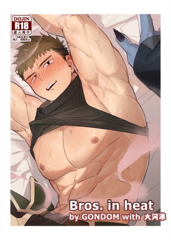 Bros. in Heat cover