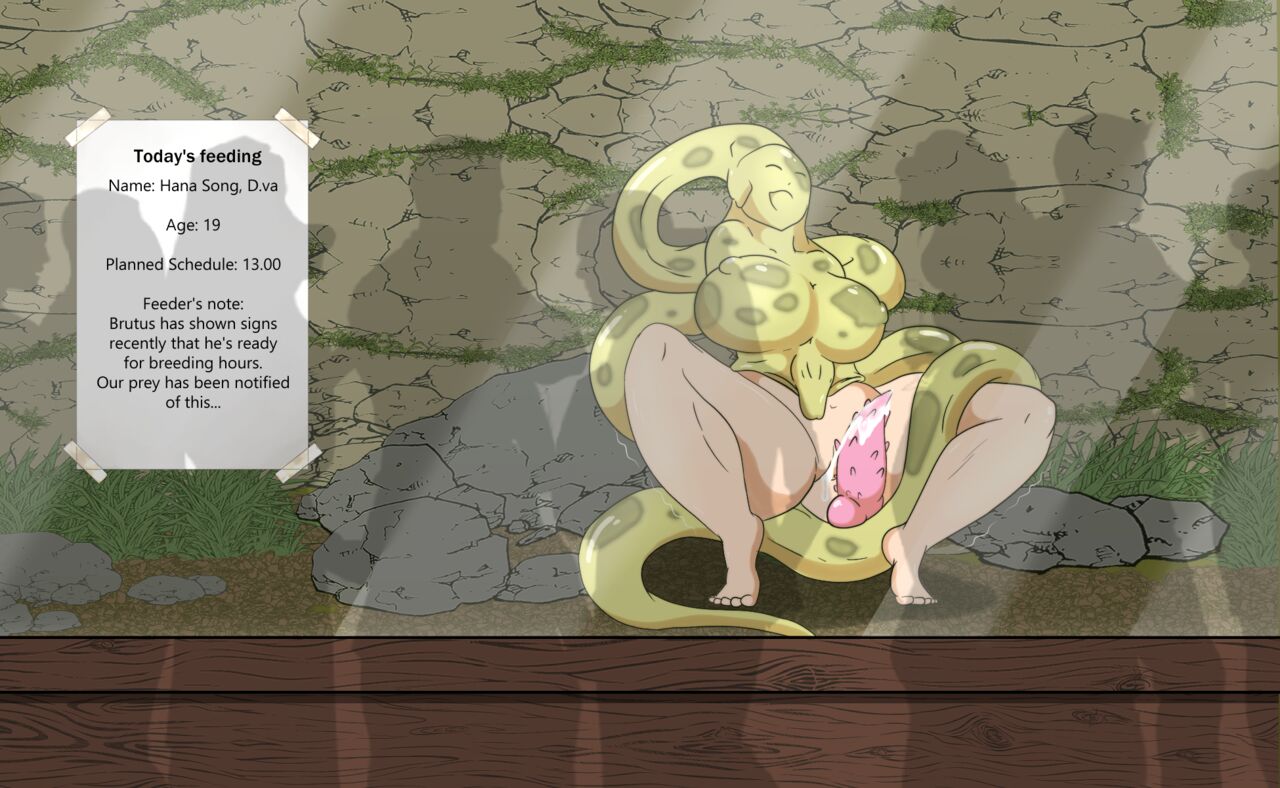 Live feeding at the terrarium page 5 full