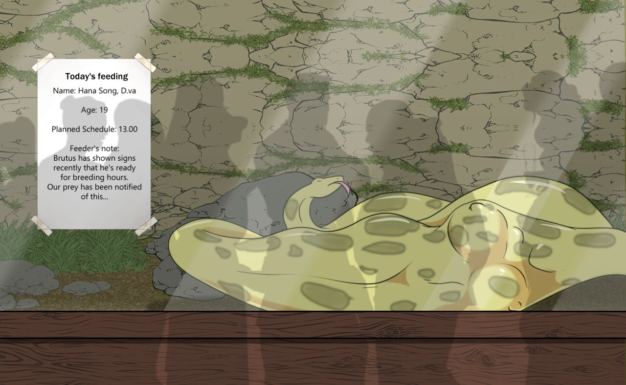 Live feeding at the terrarium page 7 full