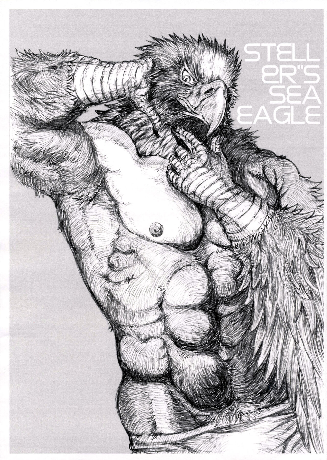 Etude 1.0 page 8 full