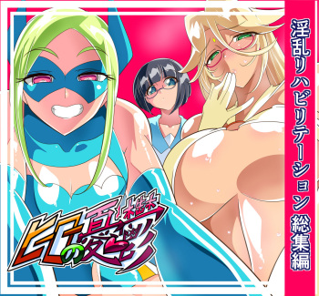 Hero no Yuuutsu Inran Rehabilitation Soushuuhen cover