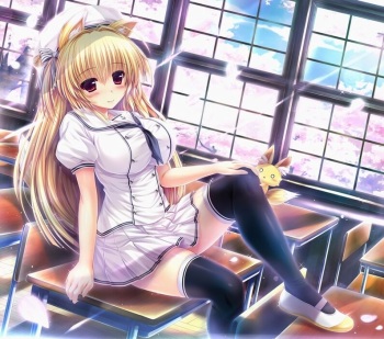 Artist - Unohana pochiko cover