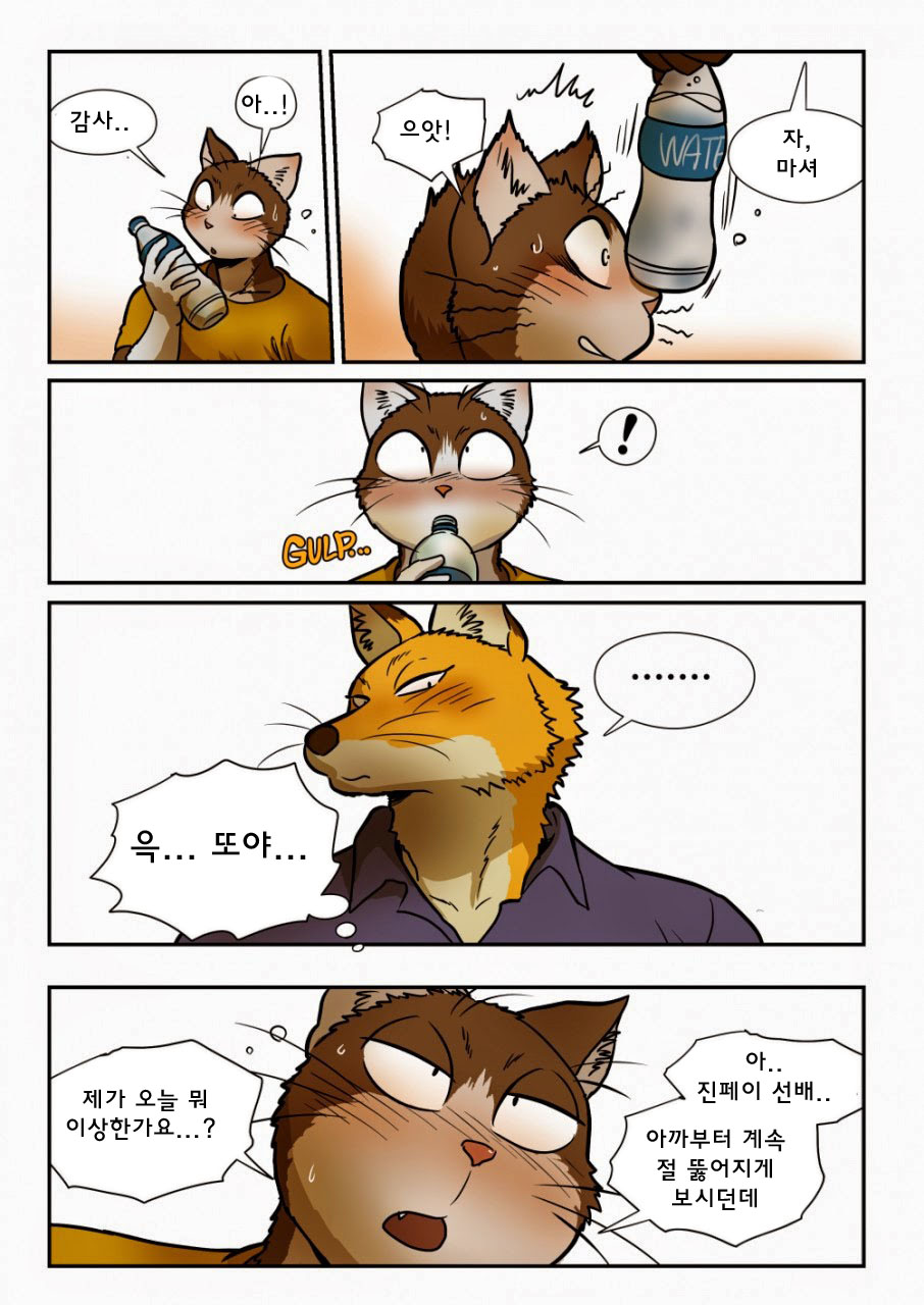 Kitsune x Neko Kemo Homo Ero Manga | 고양이×고양이 2화 - 여우×고양이 케모호모 에로 만화 page 8 full