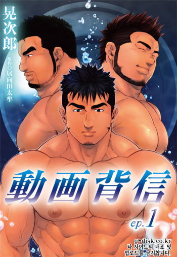 동영상 배신 cover