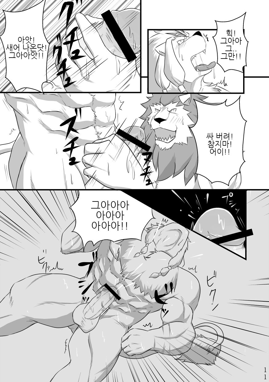 Toshiue Neko Desire | 연상 고양이 디자이어 page 10 full
