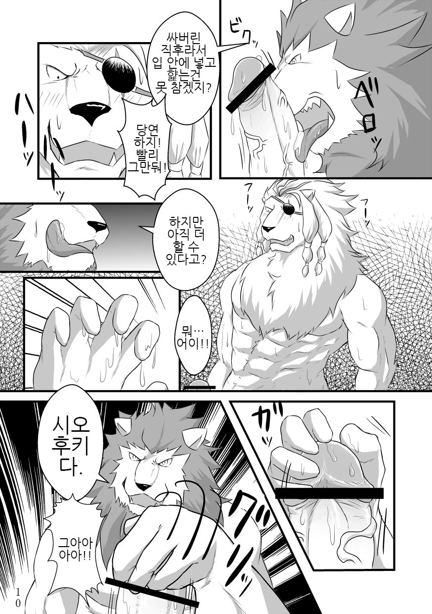 Toshiue Neko Desire | 연상 고양이 디자이어 page 9 full
