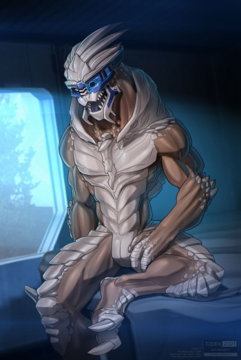 Garrus Vakarian cover