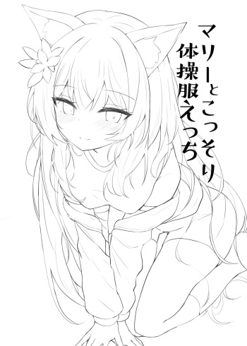 Mari to Kossori Taisoufuku Ecchi cover