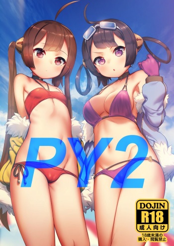 PY2 cover