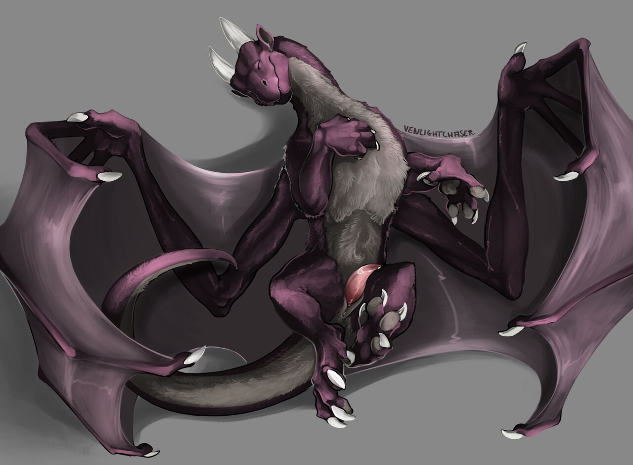 VenLightChaser FA Gallery page 2 full