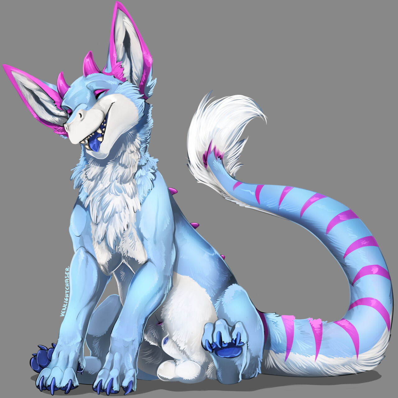VenLightChaser FA Gallery page 8 full