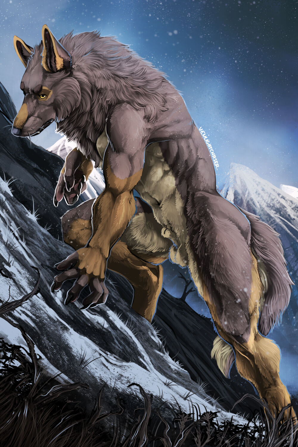 VenLightChaser FA Gallery page 9 full