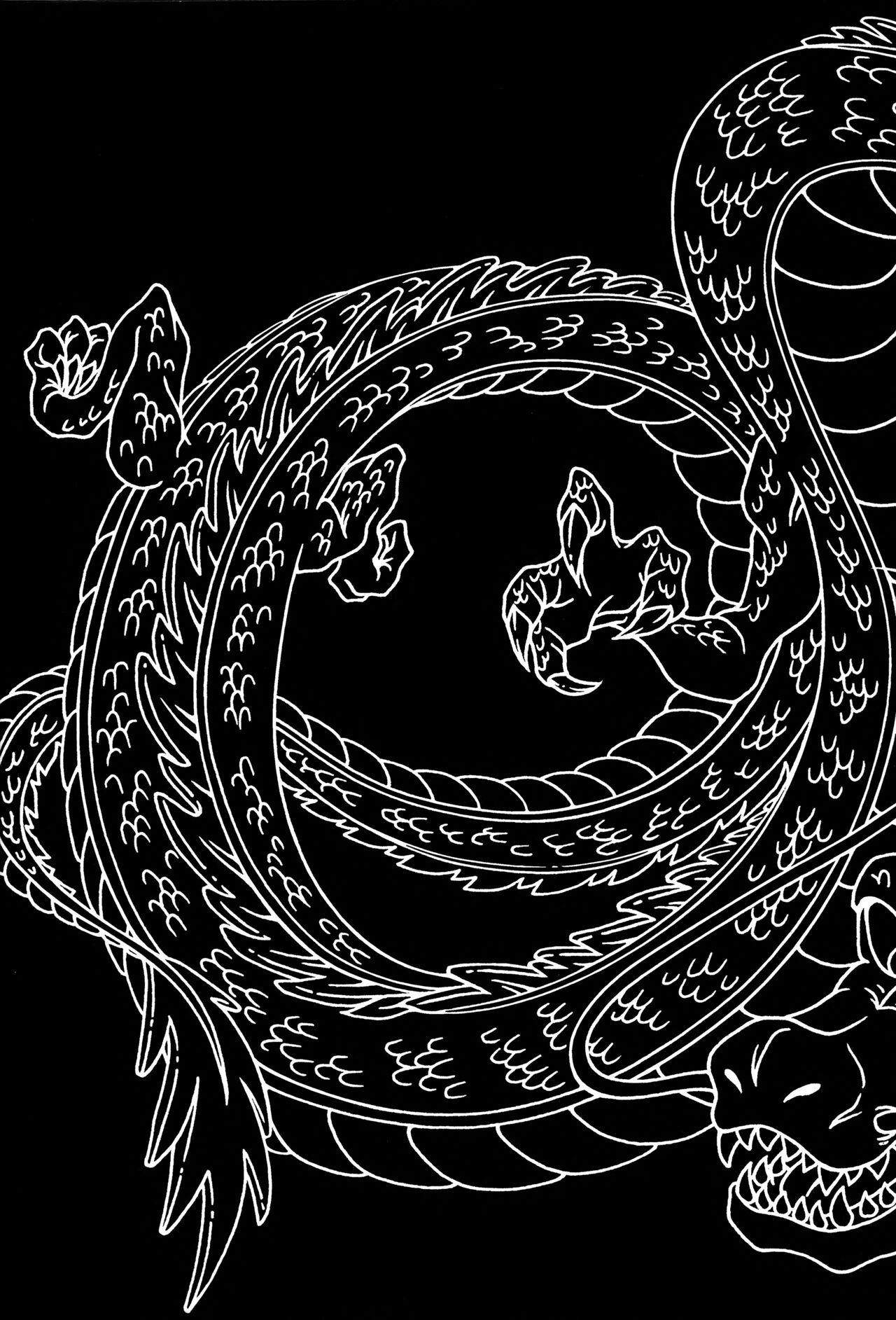 Dragonball Fan Book SPECIAL page 3 full