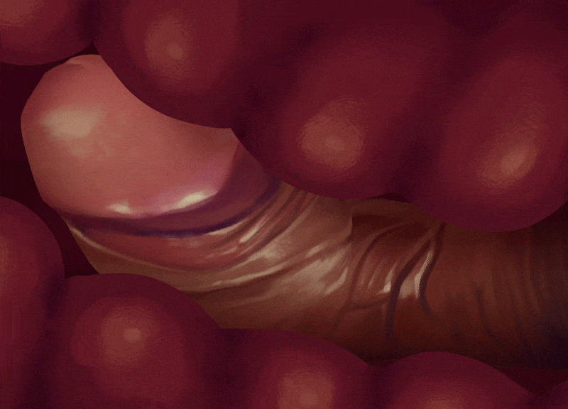 Dragonite Found! page 6 full