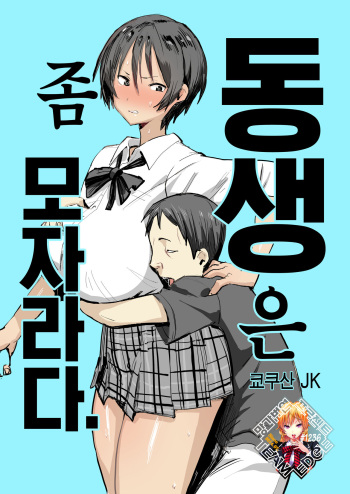 Otouto wa Chotto Are | 동생은 좀 모자라다. cover