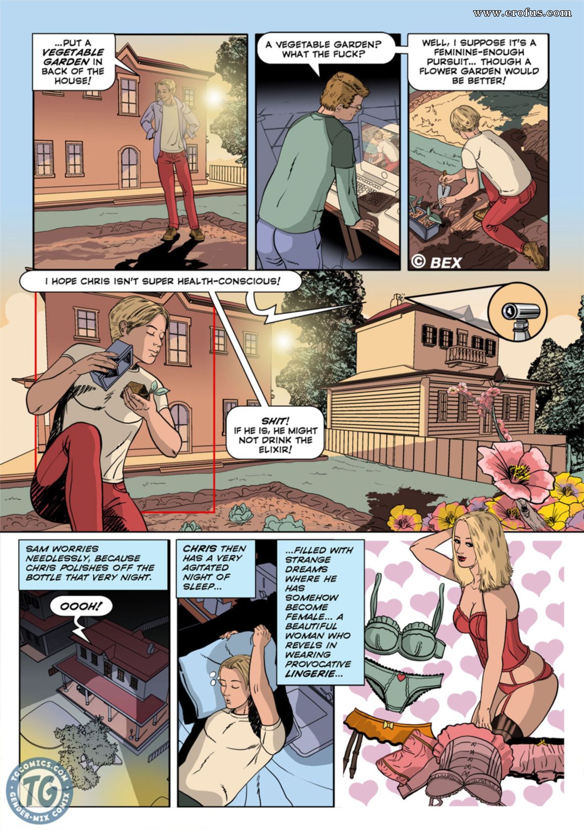 Bex. The Alchemist vol.1 page 5 full
