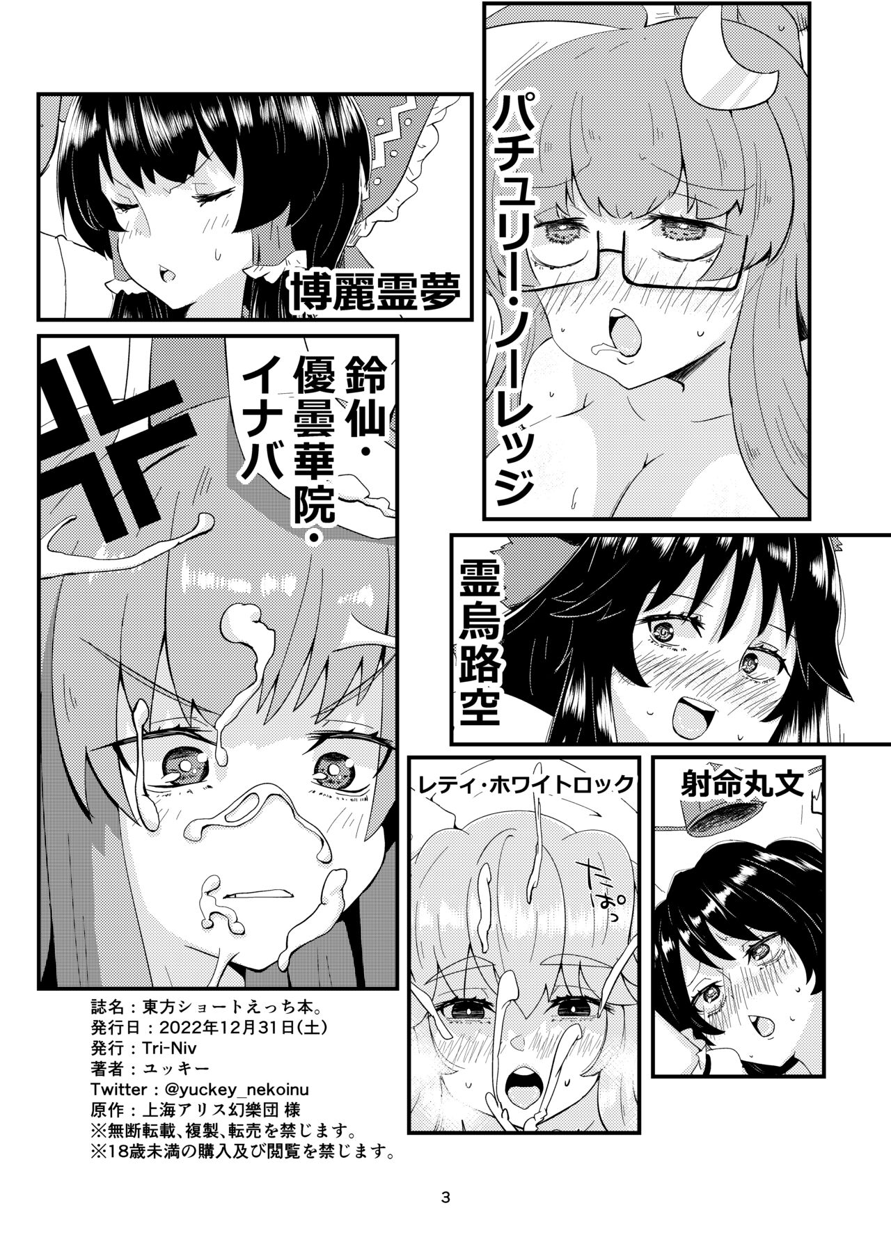 Touhou Short Ecchi Hon. page 2 full