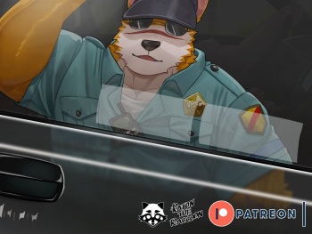 No Parking cover