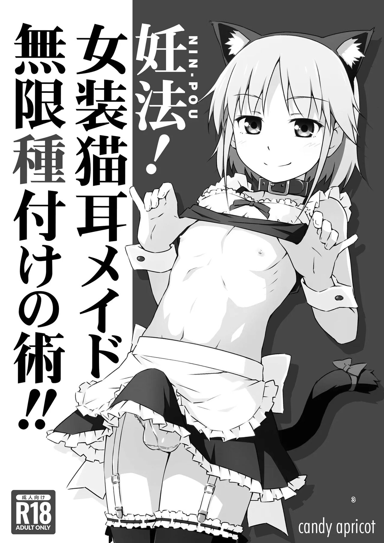Ninpou! Josou Nekomimi Maid Mugen Tanetsuke no Jutsu!! | 인법! 여장 고양이귀 메이드 무한 씨뿌리기술!  Digital page 2 full