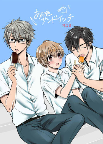 Aoiro Sandwich cover