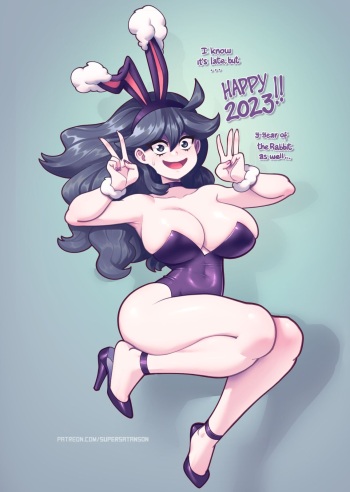 Rabbit year 2023 cover