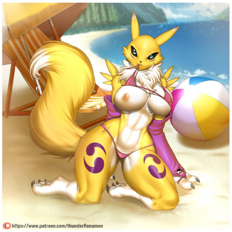 ARTIST Thunder-renamon page 1 full