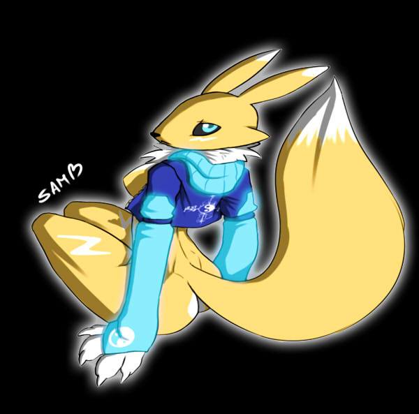 ARTIST Thunder-renamon page 9 full