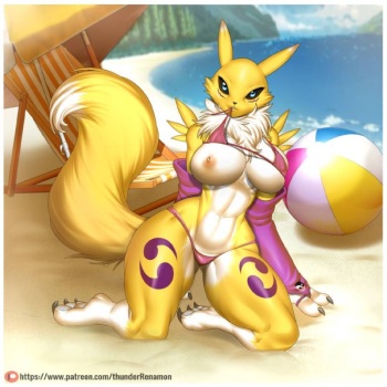 ARTIST Thunder-renamon cover