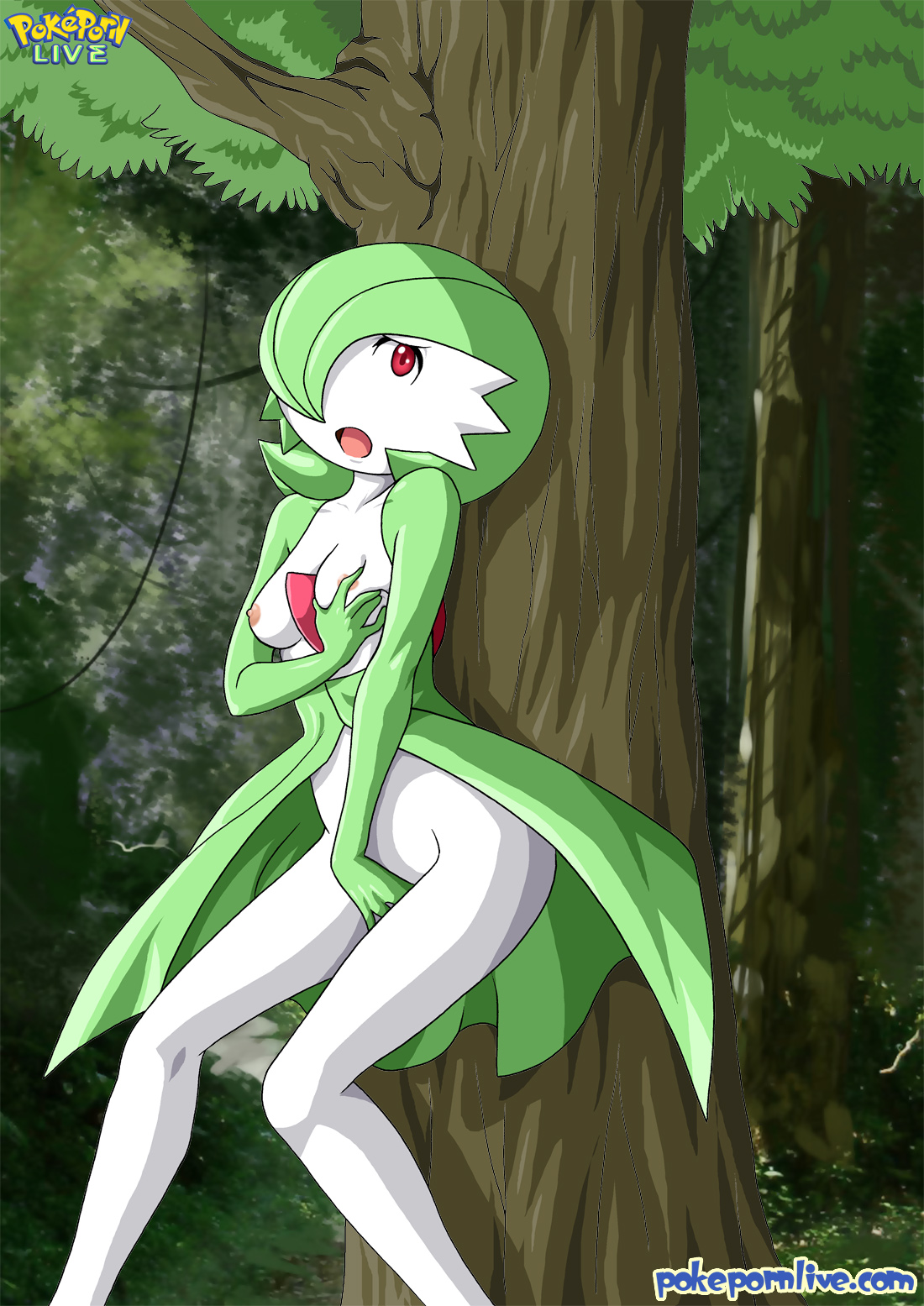 Gardevoir/Kirlia Collection page 2 full