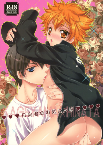 Hinata-kun no Okiniiri cover