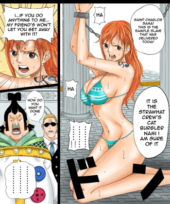 Nami-san Manga cover