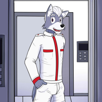 Fox and Wolf by Fuze cover
