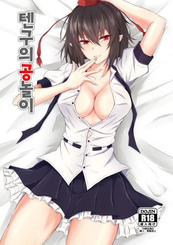 Tengu no Tama Asobi | 텐구의 공놀이 cover
