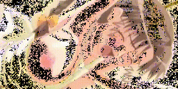 Random Mixed GIF Collection cover