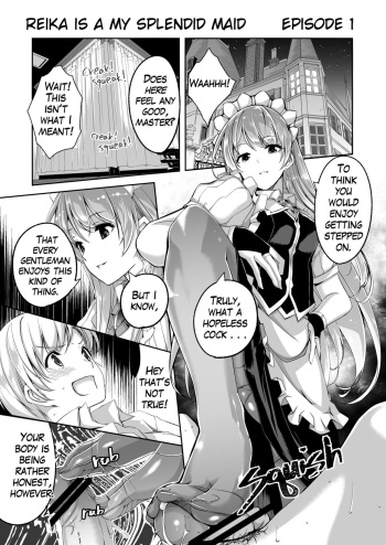 Reika is a my splendid maid : Ep01 cover