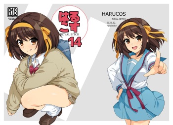 Harucos 14 cover