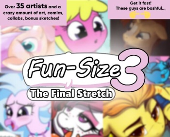 Fun-Size 3: The Final Stretch cover