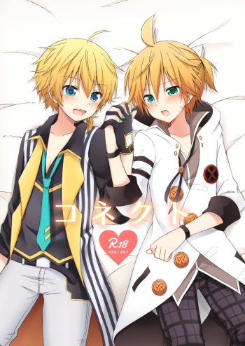 Connect cover