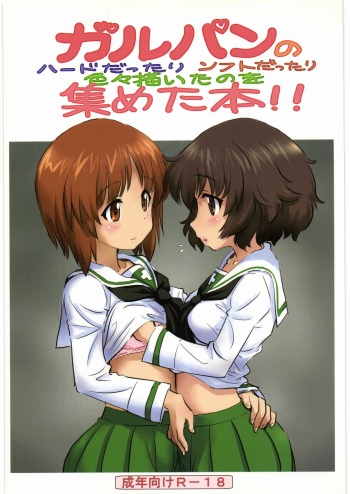 Garupan no Heart dattari Soft dattari Iroiro Egaita Mono o Atsumeta Hon! cover