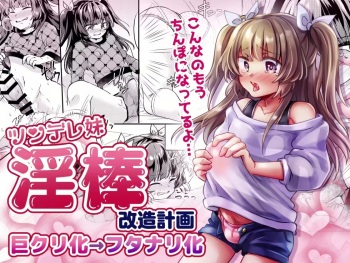 Tsundere Imouto Inbou Kaizou Keikaku cover