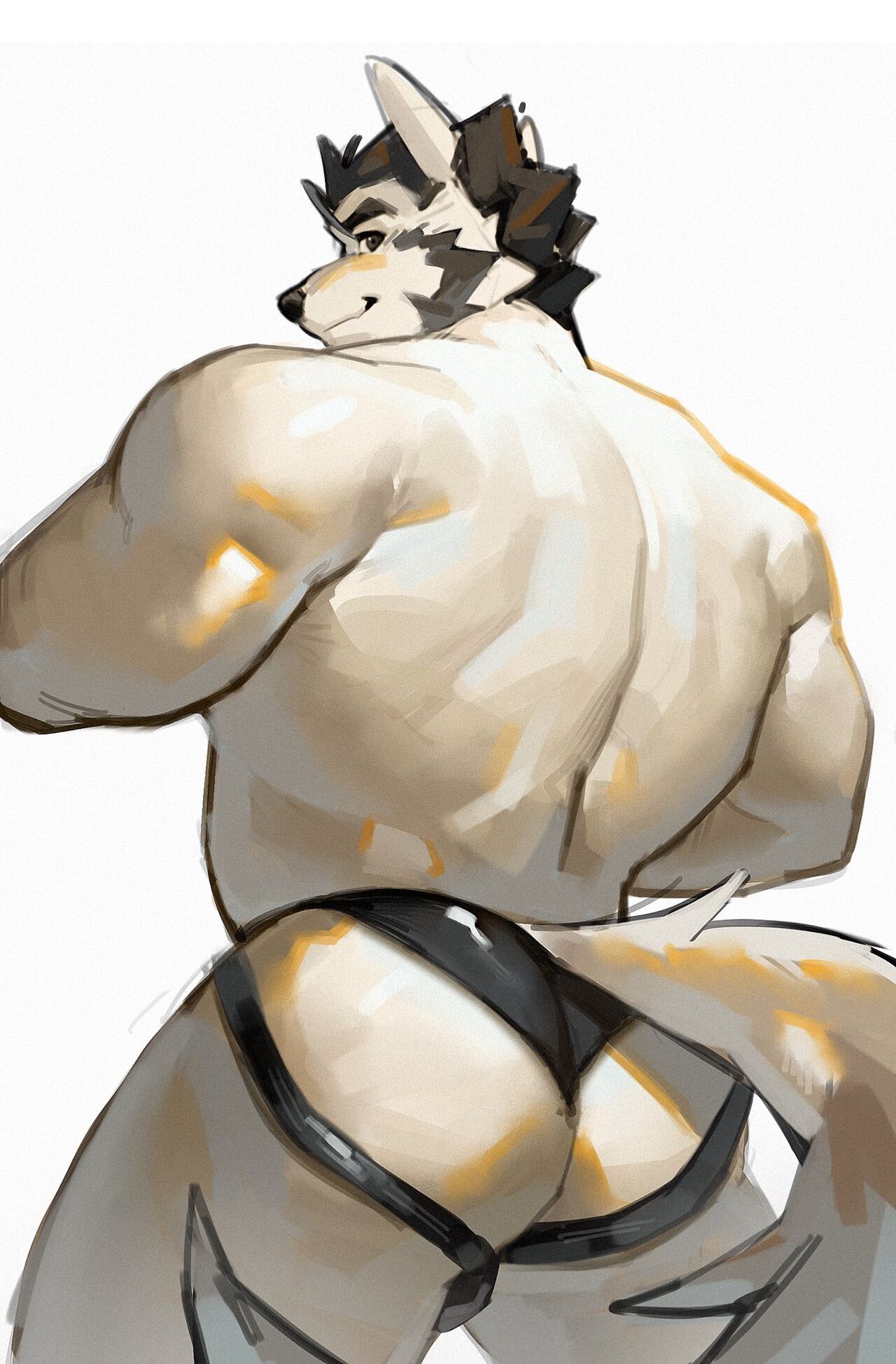  page 4 full