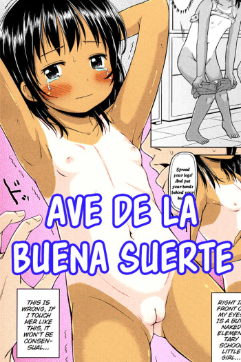 Shiawase no Aoi Tori | Ave de la buena suerte cover